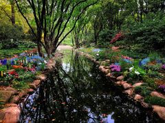 -上海共青森林公园