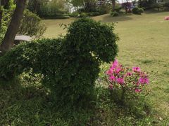 -上海崇明金茂凯悦酒店