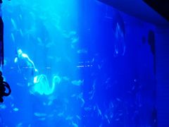 -多彩贵州城极地海洋世界