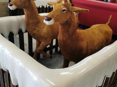 -海昌极光餐厅