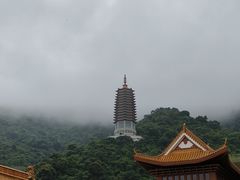 -深圳仙湖植物园