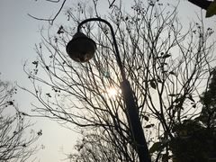 -苏州河梦清园环保主题公园