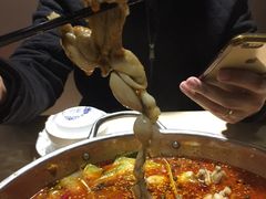 -靓蛙馆