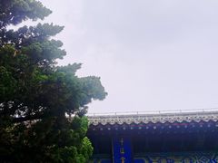 -蓬莱阁景区
