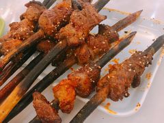 红柳烤肉串-阿里烧烤(北京东路店)