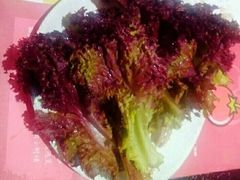 有机紫生菜-番食园鲜食火锅(高新店)