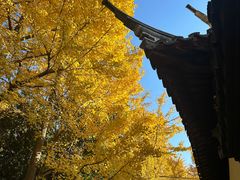 -西园戒幢律寺