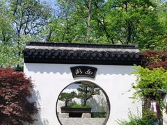 -上海共青森林公园