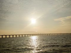 -宝安西湾红树林湿地公园