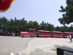 -日照海滨国家森林公园