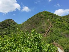 -大岭沟猕猴桃谷风景区
