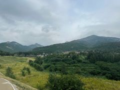 -泰山风景名胜区-虎山公园
