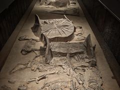 -北京大葆台遗址博物馆