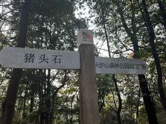 -火炉山森林公园