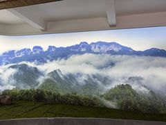-重庆睡佛山森林公园