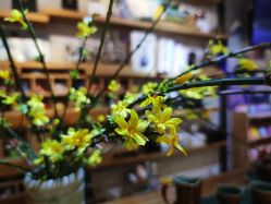 -今日陶艺(富力广场店)