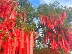 -广州莲花山旅游区