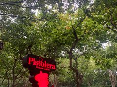 -Pistolera Mexican Cantina女枪手墨西哥餐厅(碧云路店)