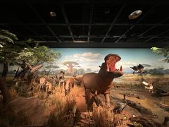 -陕西自然博物馆