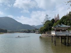 -九鲤湖风景区