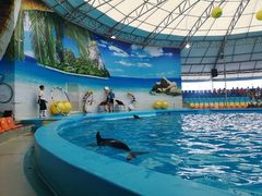 -尼莫海豚馆