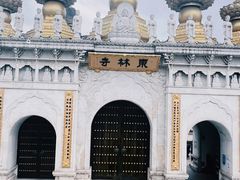 -上海东林寺(金山区)