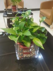 -悦润荟美容抗衰中心
