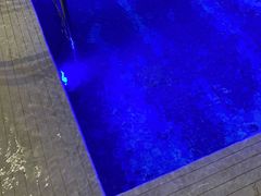 -苏州金鸡湖文博诺富特酒店