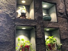 -新梅华·茶点餐厅(欧尚店)