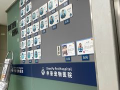 -申普宠物医院·心脏介入·心血管微创(总院)