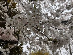 -川沙古镇-停车场