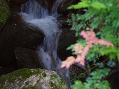 -阳台山森林公园