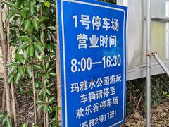 -上海佘山国家森林公园东门地面停车场