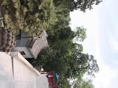 -八大处公园