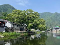 -鹿亭中村