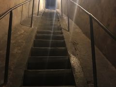 -圣母百花大教堂穹顶