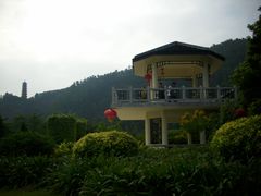 -南沙蒲洲花园