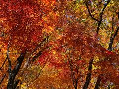 -丹东天桥沟景区