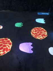 -恐龙探索乐园(磁器口店)