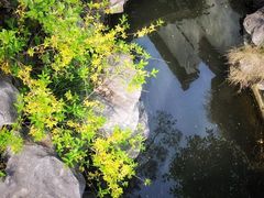 -南京市民俗博物馆(甘熙故居)