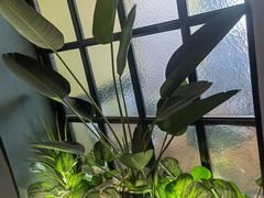 -渝乡辣婆婆·川菜 水煮鱼(安平店)