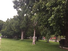 -揭阳楼