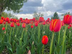 -长春公园(普阳街道)