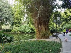-成都市活水公园