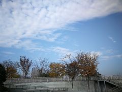 -映月湖中央公园