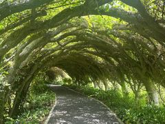-广西壮族自治区药用植物园