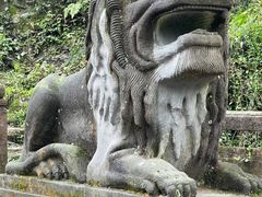 -青城山