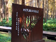 -黄海国家森林公园