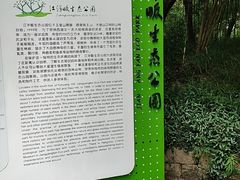 -西湖风景区-江洋畈生态公园