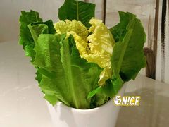 蔬菜拼盘-俏牛哥鲜牛肉牛肆馆(重庆天地店)